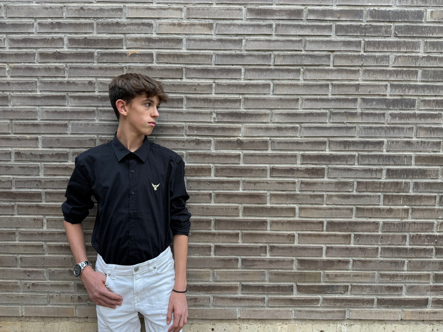 CAMISA ELEGANCE